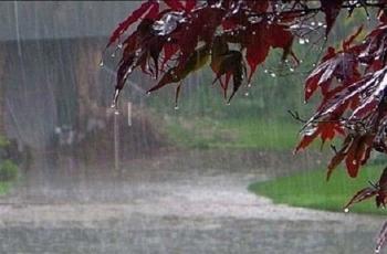 ۱٠٠ میلیمتر بارش در منطقه «سرآسیاب یوسفی» ثبت شد