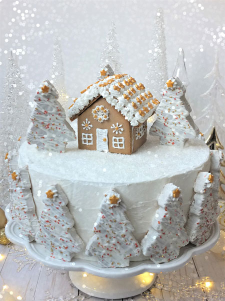 انواع مدل کیک زمستانی زیبا,مدل کیک زمستانی زیبا,عکس کیک تولد زمستانی
