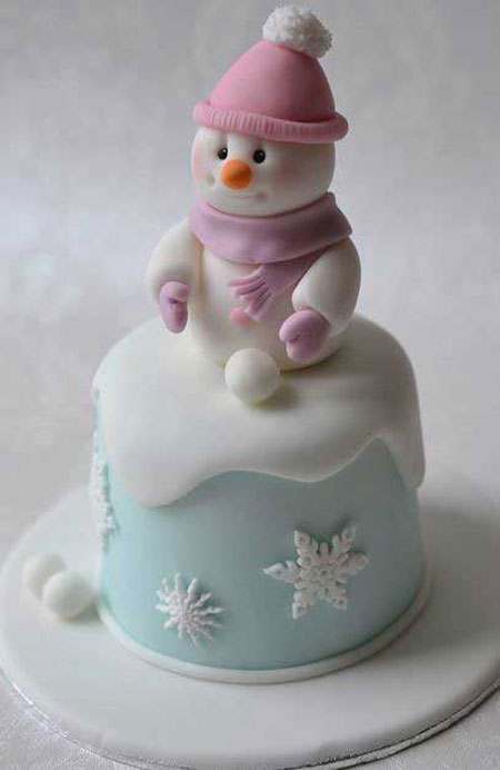 انواع مدل کیک زمستانی زیبا,مدل کیک زمستانی زیبا,انواع مدل کیک زمستانی