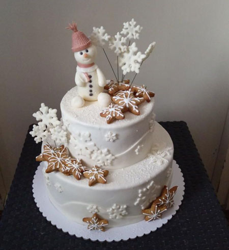 انواع مدل کیک زمستانی زیبا,مدل کیک زمستانی زیبا,عکس کیک تولد زمستانی